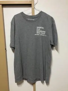 patagonia パタゴニア Tシャツ グレー Mサイズ　信越五岳 2010