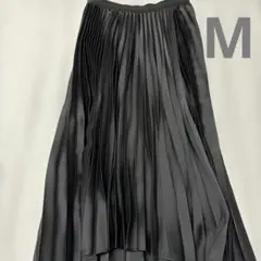 Item thumbnail for item e5c68a2a-1443-4cd8-a801-fcf05a583221