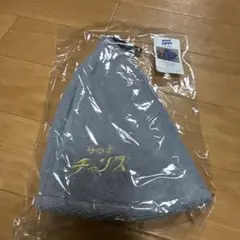 Item thumbnail for item 89043d59-c101-4b18-a398-a70f3dbd6cab