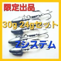 限定出品 ジグヘッド アシストフック Zシステム 30g 24g セットj