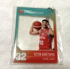 Item thumbnail for item be00d29d-1425-4eac-ac78-d12329a4c07e