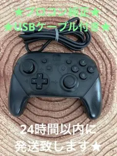 ニンテンドースイッチ 純正 プロコン ブラック
