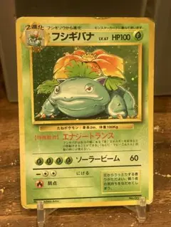 大特価 第1弾 フシギバナ ホロレア 旧裏面【ポケモンカード】