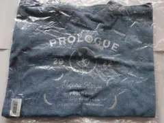 Item thumbnail for item 43723045-76b3-4251-82ff-e58b19bf2825