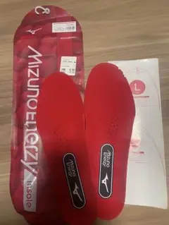 Mizuno Energy insole バレーボール、バスケットボール　L