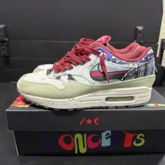 CONCEPTS Air Max 1 マルチカラー
