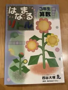 はなまるリトル3年　算数
