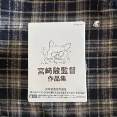 宮崎駿監督作品集増補版 〈DVD15枚組〉