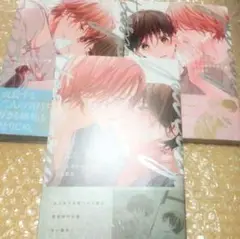 ピットスポルム 三葉 四葉 五葉 3冊セット