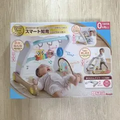 【新品・未使用】スマート知育 ジム＆ウォーカー