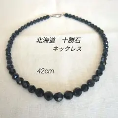 十勝石 ネックレス 42cm 黒