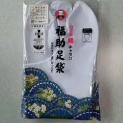 Item thumbnail for item 86a819a6-4af1-4441-9831-9c49b9afb818