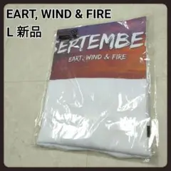 メンズ　Tシャツ　新品　L