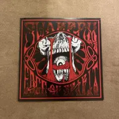 SWARRRM / EDGE OF SPIRIT 2バンド　レコード