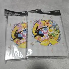 新品未開封　ポケモンカードゲーム コレクションファイル イーブイズ　2個セット