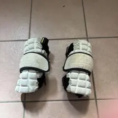 Item thumbnail for item d39f4b07-2a52-4467-8146-173eba5945e9