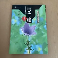 古文上達 読解と演習45 仲恵真著