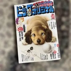 ビッグコミックオリジナル