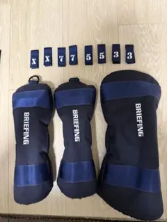 Item thumbnail for item 3562152d-d1a1-445a-a0c8-0f4ea0488927