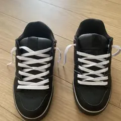 DC スニーカー　sk8 y2k affliction tapout 27cm