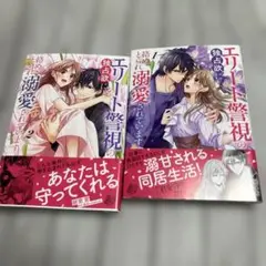 エリート警視の独占欲に絡めとられ溺愛されています 全2巻 セット