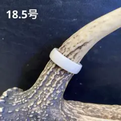 幸運の鹿の角リング304
