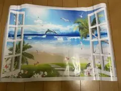 ウォールステッカー 45×70cm 窓 海 景色 イルカ
