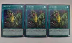 遊戯王 捕食活動 スーパーレア 3枚