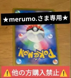 ★merumo.さま専用★⚠️他の方購入禁止⚠️