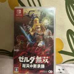 ゼルダ無双 厄災の黙示録 Nintendo Switch