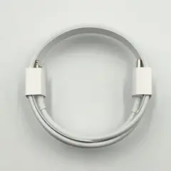Apple純正 Lightning-USB typeC ケーブル A2561