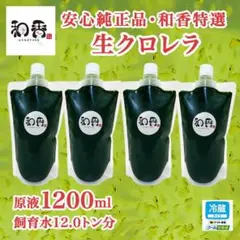 【クール便】和香特選生クロレラ原液1200ml めだか金魚稚魚ミジンコPSBAP