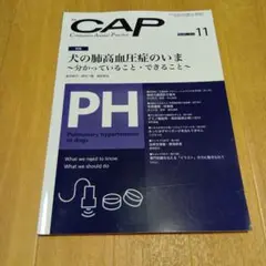 裁断済み　CAP 2019年11月号 犬の肺高血圧症
