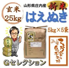 新米 山形県庄内産 はえぬき 玄米25kg Gセレクション