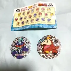 ポケモンマグネット(非売品)
