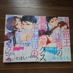 帝王上司の調教セックス : 俺なしじゃいられない体にしてやるよ 2冊セット