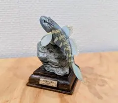 ネイチャーテクニカラー　日本の清流　トウヨシノボリ
