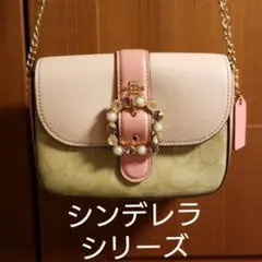 COACH ショルダーバック ピンク ♡シンデレラシリーズ♡