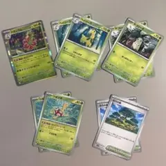 ポケモンカード メガニウム ベイリーフ チコリータ ツボツボ 活力の森