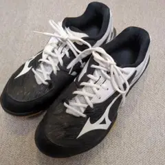 Mizuno バドミントンシューズ