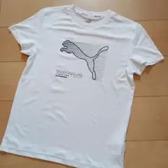 プーマ　Tシャツ　１６０cm　白