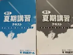 【送料込】早稲田スクール 夏期講習テキスト　中学1年（5教科1冊・解答付き）