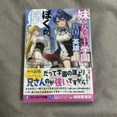妹が女騎士学園に入学したらなぜか救国の英雄になりました。ぼくが。