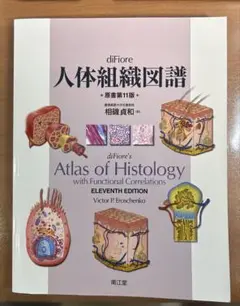 diFiore人体組織図譜