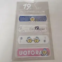 19番目のカルテ　うおとらくん 絆創膏