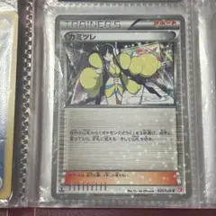 カミツレ ポケモンカード