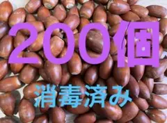 Item thumbnail for item 448ad1a4-393f-492d-ba39-23f8b1800ec6