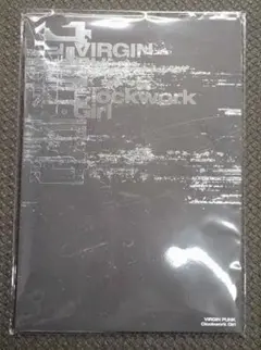 新品未開封 ヴァージンパンク パンフレット