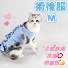 Item thumbnail for item f8b0b3fe-d719-44c5-ab1d-bc82c1e77724