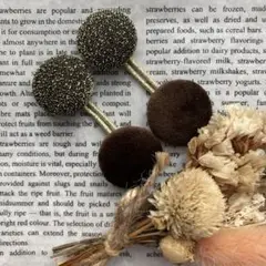 Item thumbnail for item a8b222d1-ff59-4b84-97f6-dc720e22c7af